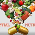 How to Build a Balanced Diet for a Healthy Lifestyle